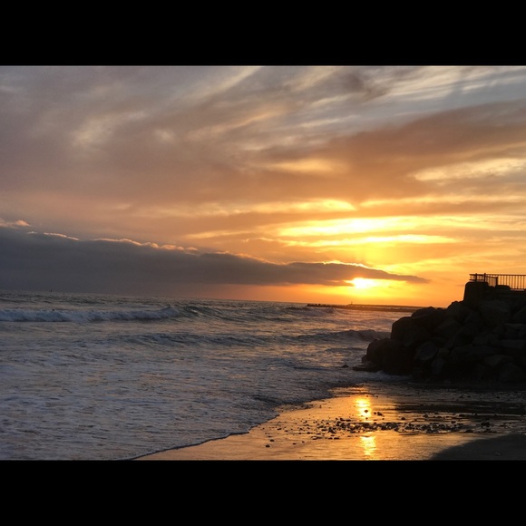 Meet your Posher, Ku’ulei - Picture 3 of 4